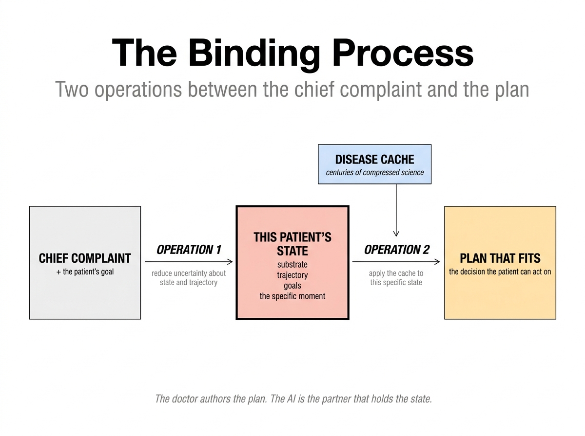 The Binding Process: two operations between the chief complaint and the plan. Operation 1 reduces uncertainty about this patient's state (substrate, trajectory, goals, the specific moment). Operation 2 applies the disease cache to that specific state to produce a plan that fits.